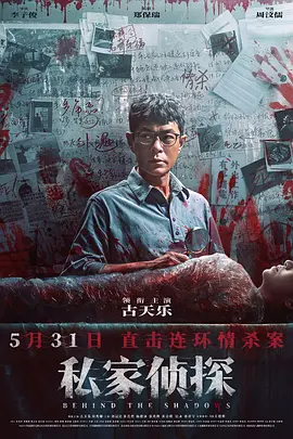 私家侦探 (2025)